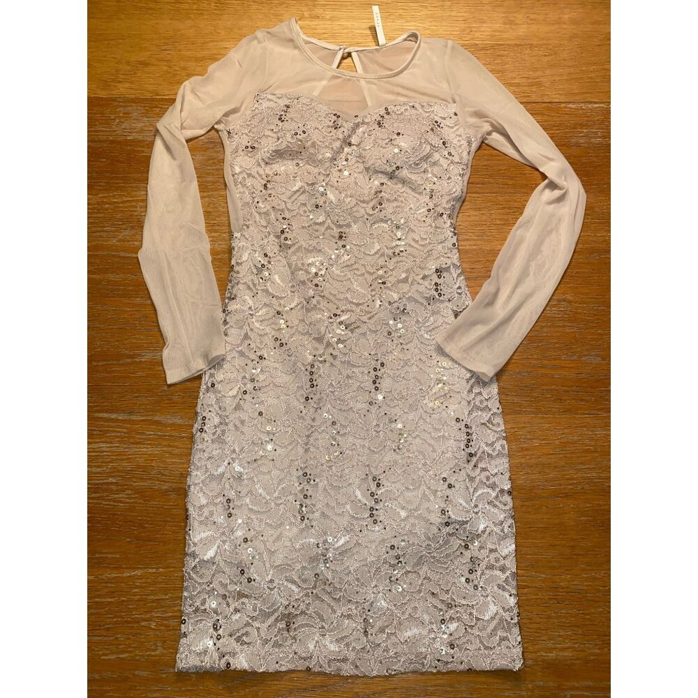 Elegant Long-Sleeve Lace Sequin Dress With Mesh Back Cutout